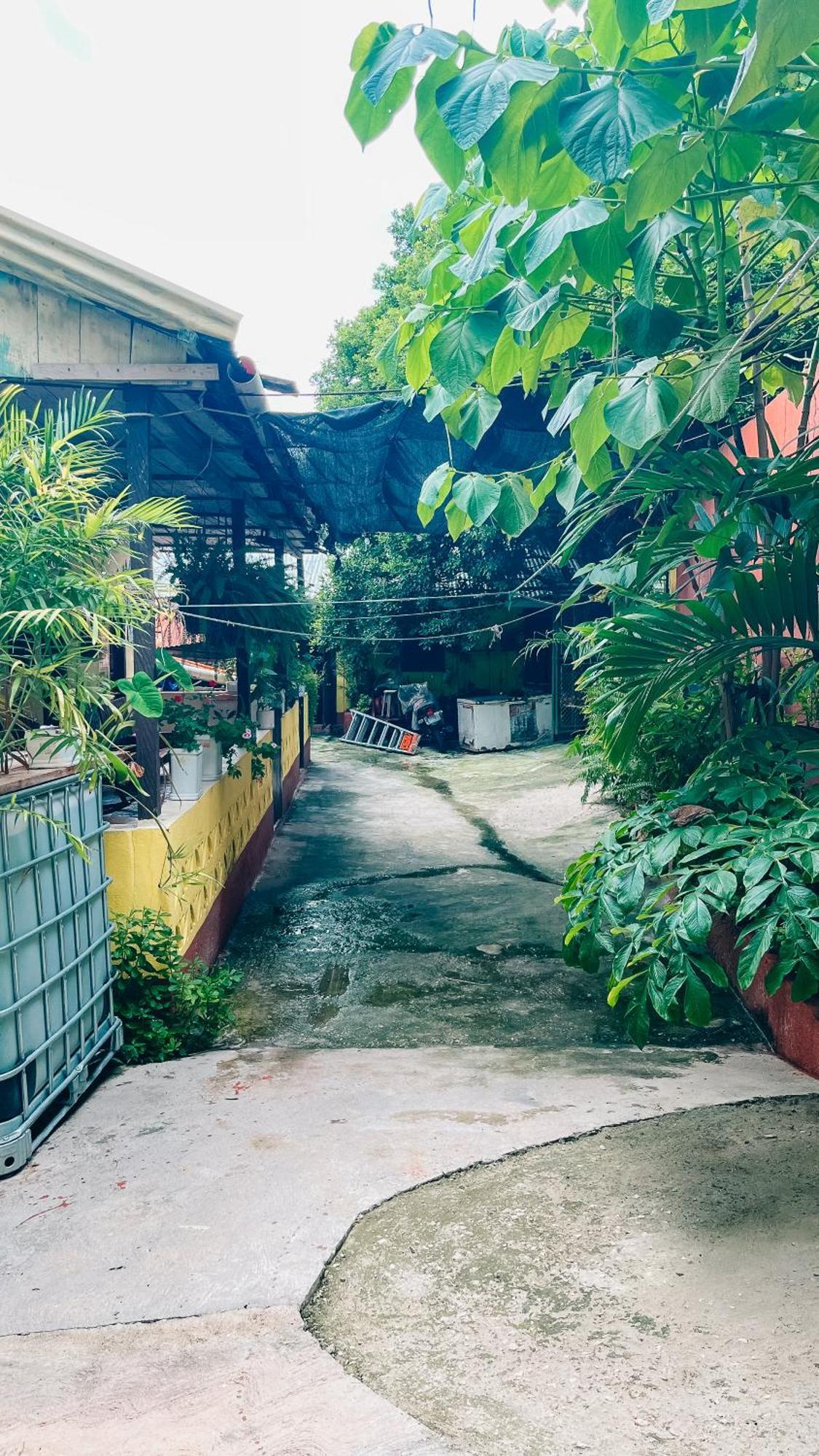 Zazil Ha Hostel El Remate Ngoại thất bức ảnh
