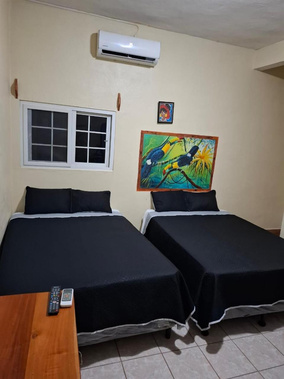 Zazil Ha Hostel El Remate Ngoại thất bức ảnh