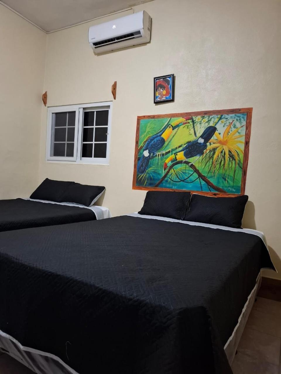 Zazil Ha Hostel El Remate Ngoại thất bức ảnh